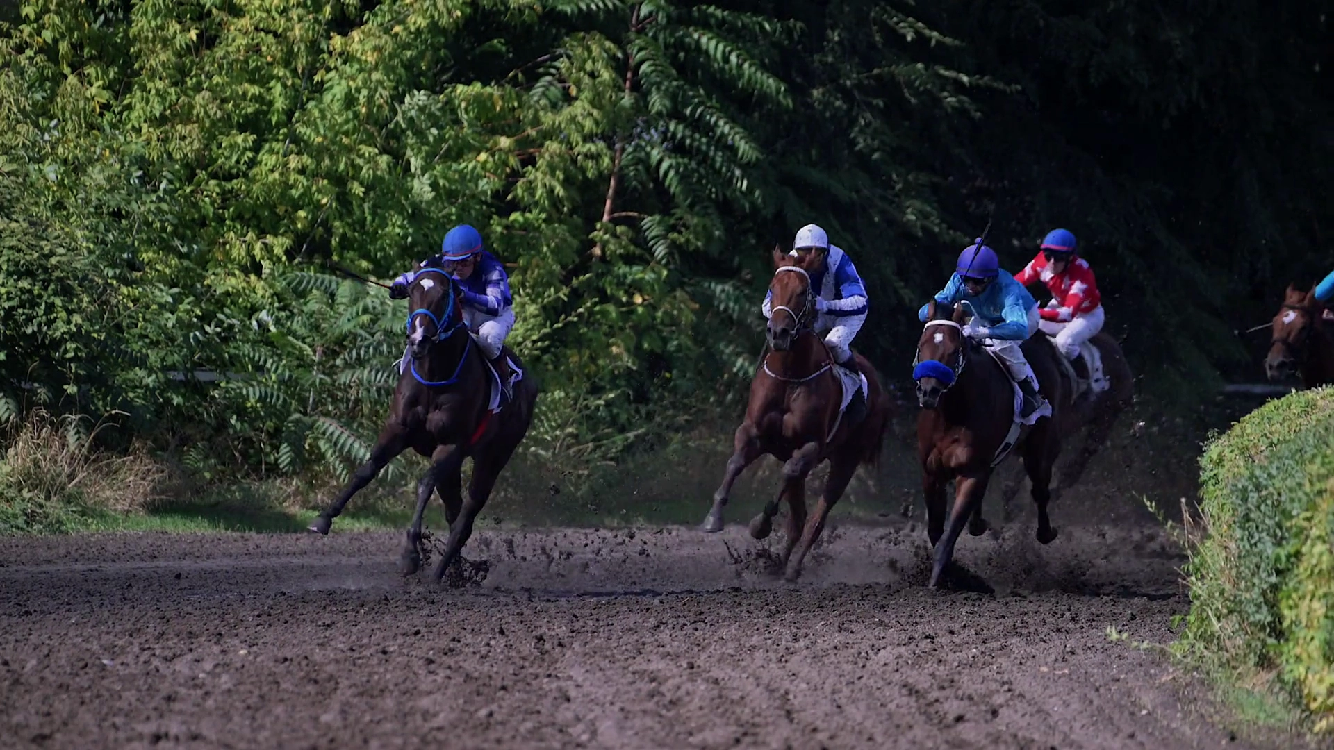 Imagine copertă erou